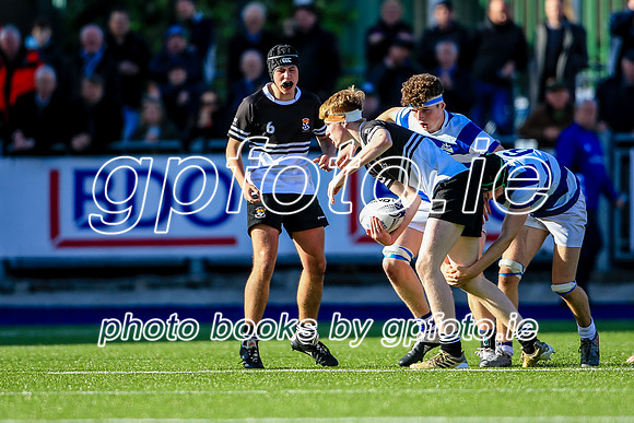 22-10-2021-SWYL4147