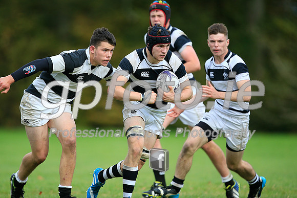 20141024-_P148951