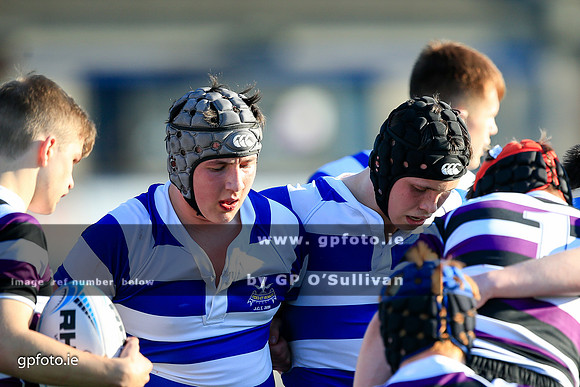 gpfoto.ie