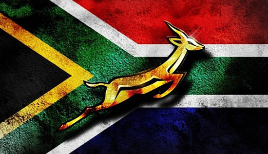 Springbok-Logo2