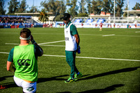 08-06-2019-SWYL7975.JPG