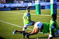 08-06-2019-SWYL7968.JPG