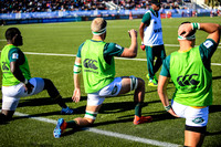 08-06-2019-SWYL7970.JPG
