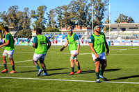 08-06-2019-SWYL7981.JPG