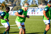 08-06-2019-SWYL7991.JPG