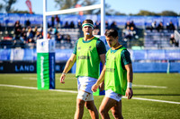 08-06-2019-SWYL7987.JPG