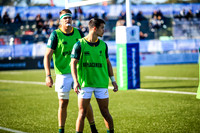 08-06-2019-SWYL7989.JPG