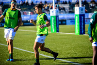 08-06-2019-SWYL8003.JPG