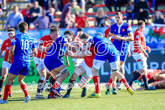 08-06-2019-CGJ20132.JPG