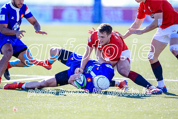 08-06-2019-CGJ20197.JPG