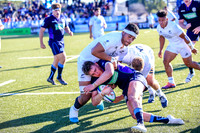 Scotland v New Zealand