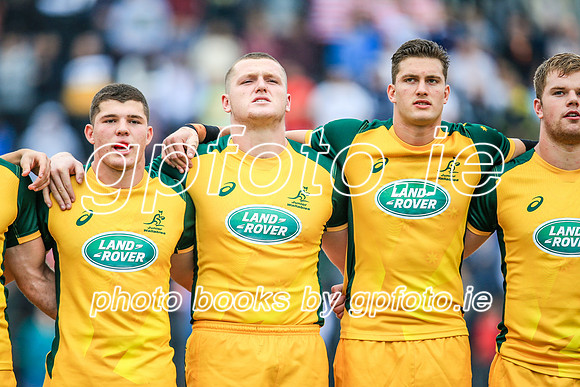 12-06-2019-SWYL2203.JPG