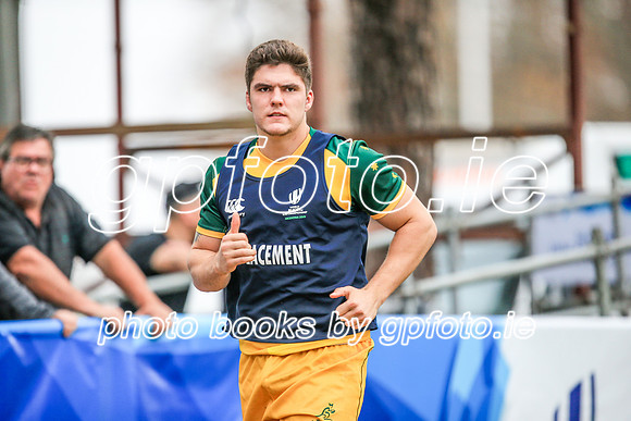 12-06-2019-SWYL2514.JPG