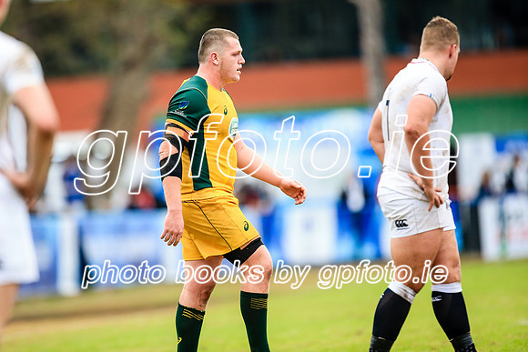 12-06-2019-SWYL2700.JPG