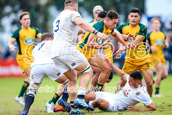 12-06-2019-SWYL2713.JPG