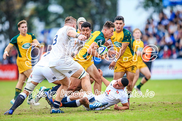12-06-2019-SWYL2714.JPG