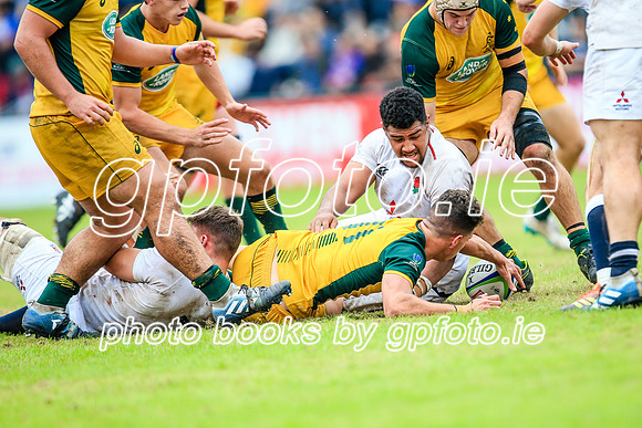 12-06-2019-SWYL2719.JPG