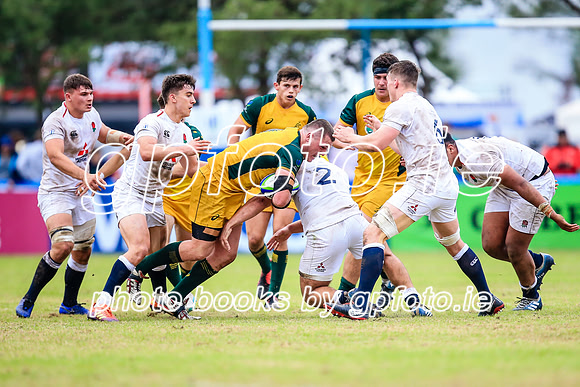 12-06-2019-SWYL2753.JPG