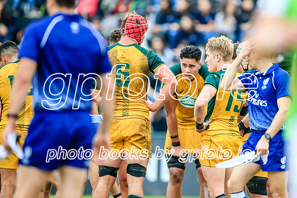12-06-2019-SWYL2980.JPG