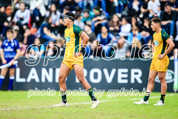 12-06-2019-SWYL3011.JPG