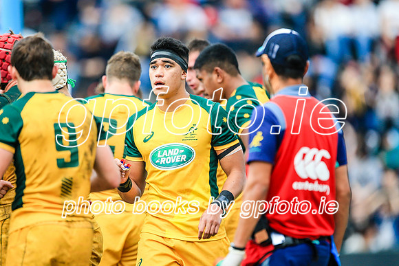 12-06-2019-SWYL3043.JPG