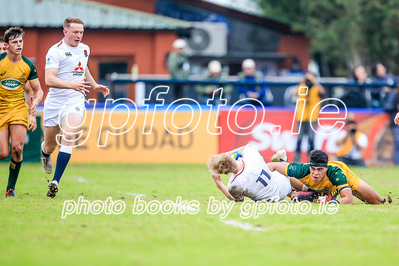 12-06-2019-SWYL3139.JPG