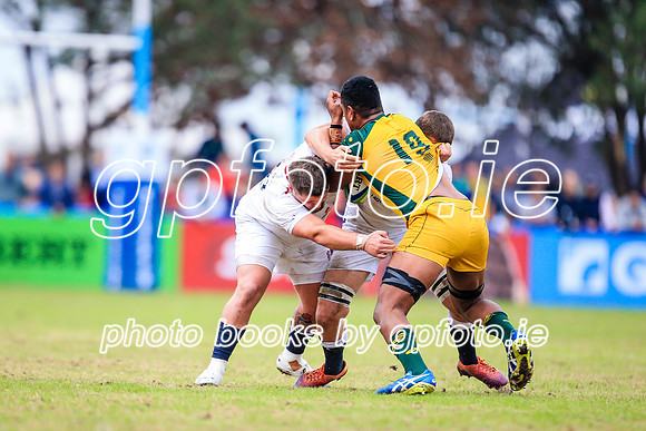 12-06-2019-SWYL3187.JPG