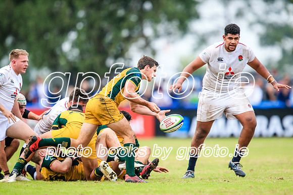 12-06-2019-SWYL3184.JPG