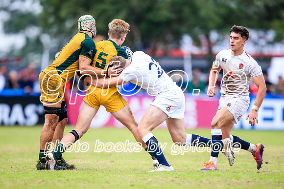 12-06-2019-SWYL3183.JPG