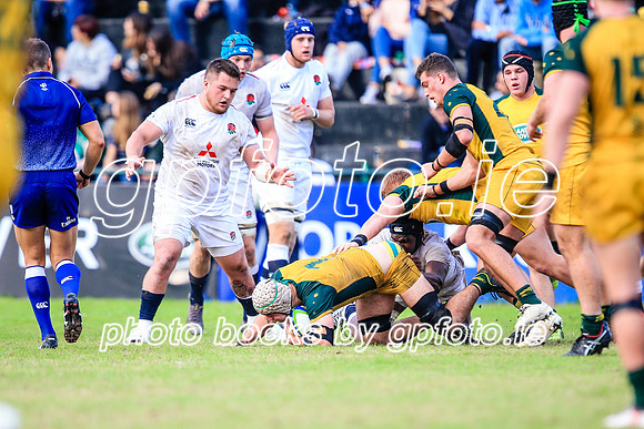 12-06-2019-SWYL3311.JPG