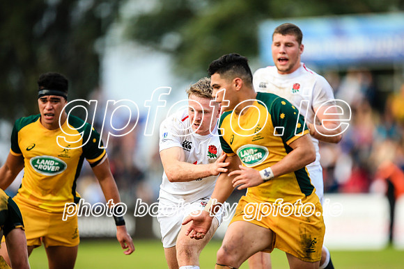 12-06-2019-SWYL3346.JPG