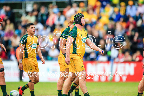 12-06-2019-SWYL3423.JPG
