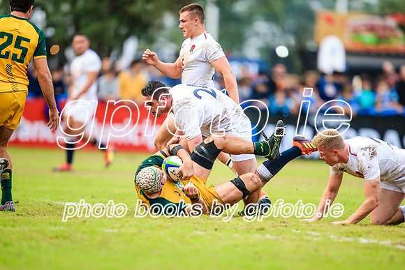 12-06-2019-SWYL3496.JPG