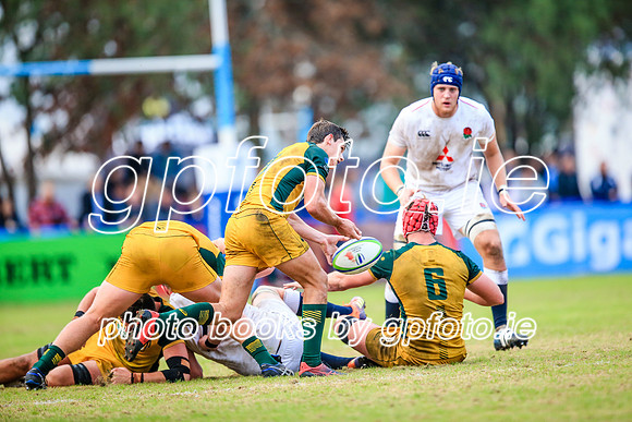 12-06-2019-SWYL3506.JPG