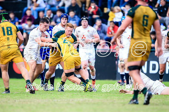 12-06-2019-SWYL3525.JPG