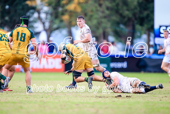 12-06-2019-SWYL3578.JPG