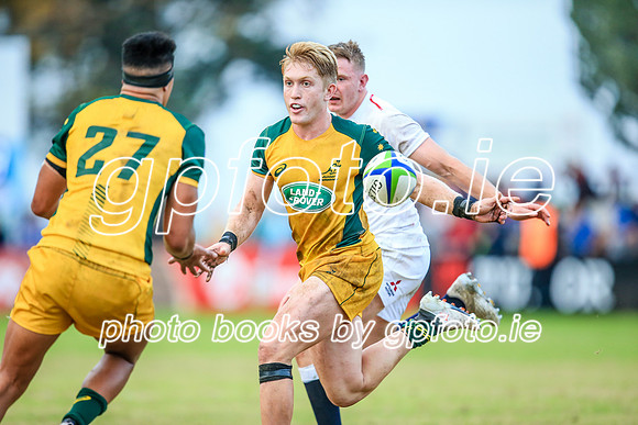 12-06-2019-SWYL3601.JPG