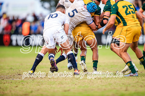 12-06-2019-SWYL3609.JPG