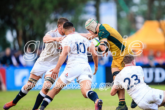 12-06-2019-SWYL3626.JPG