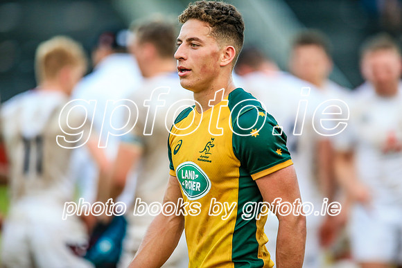 12-06-2019-SWYL3664.JPG