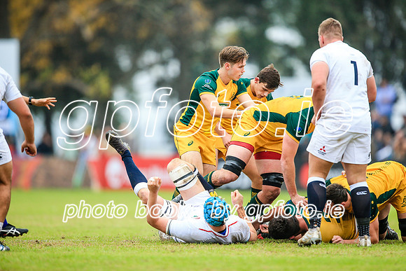 12-06-2019-SWYL2359.JPG