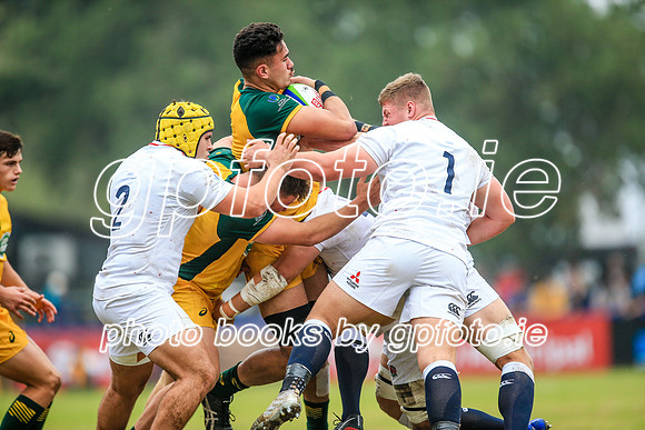 12-06-2019-SWYL2343.JPG