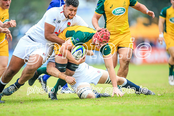 12-06-2019-SWYL2379.JPG