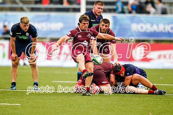 12-06-2019-_MI_3525.JPG