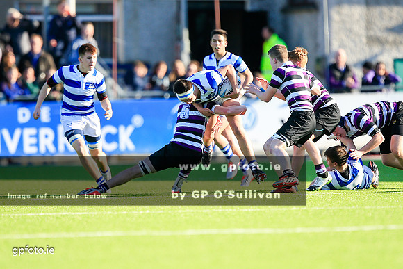 gpfoto.ie