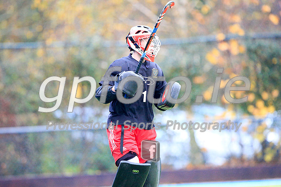 20141121-_P149677