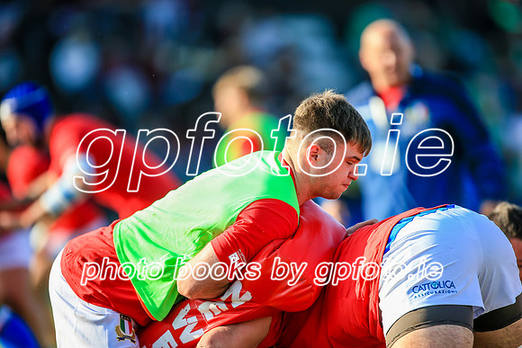 12-06-2019-SWYL9012.JPG