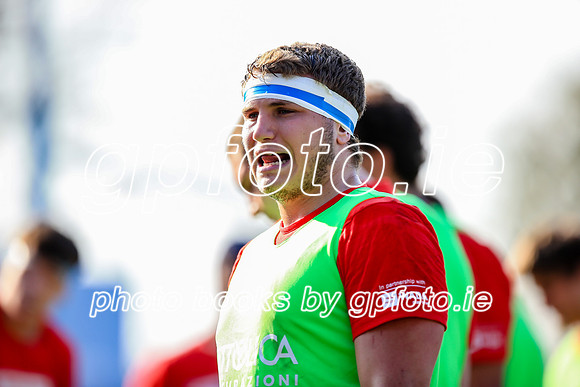 12-06-2019-SWYL9027.JPG