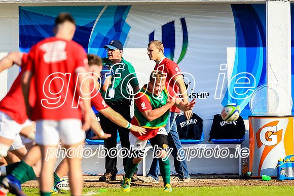 12-06-2019-SWYL9097.JPG