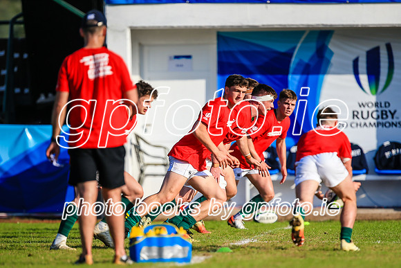 12-06-2019-SWYL9098.JPG
